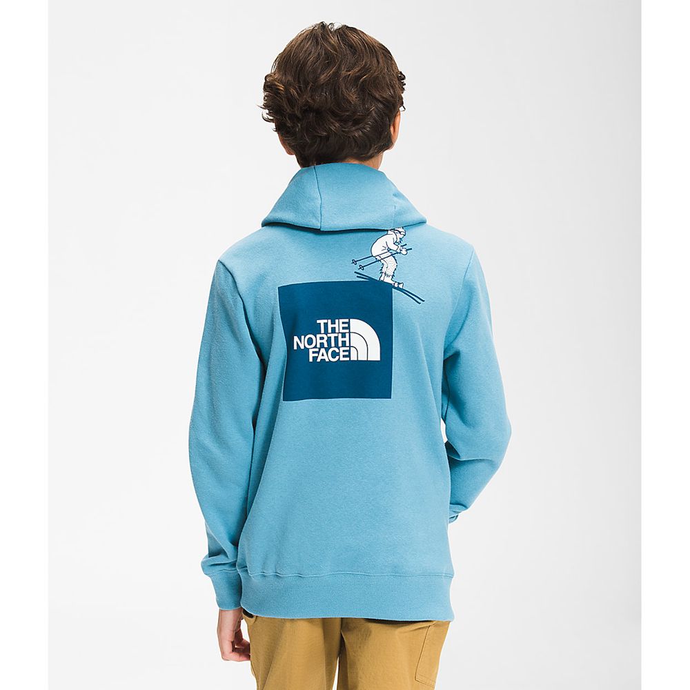 The North Face Hoodie Boys Australia - The North Face Camp Fleece Pullover Blue (VLK-294316)